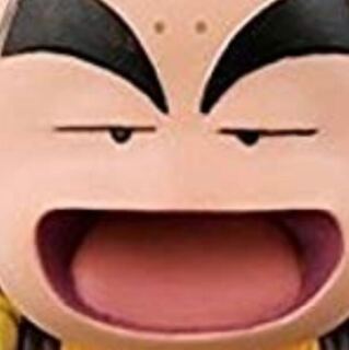 インテグラル様専用