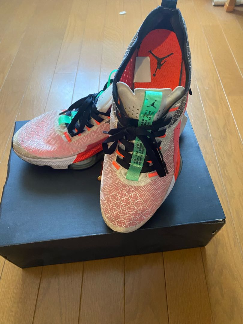 ジョーダン エア ズーム レネゲード NIKE ZOOM 29cm