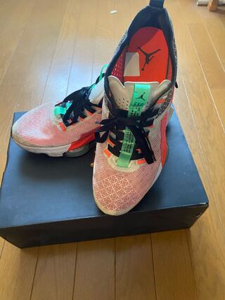 ジョーダン エア ズーム レネゲード NIKE ZOOM 29cm