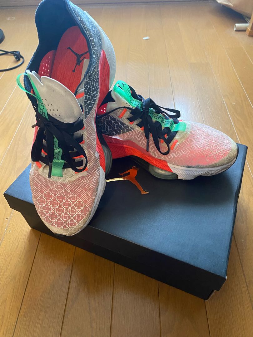 ジョーダン エア ズーム レネゲード NIKE ZOOM 29cm