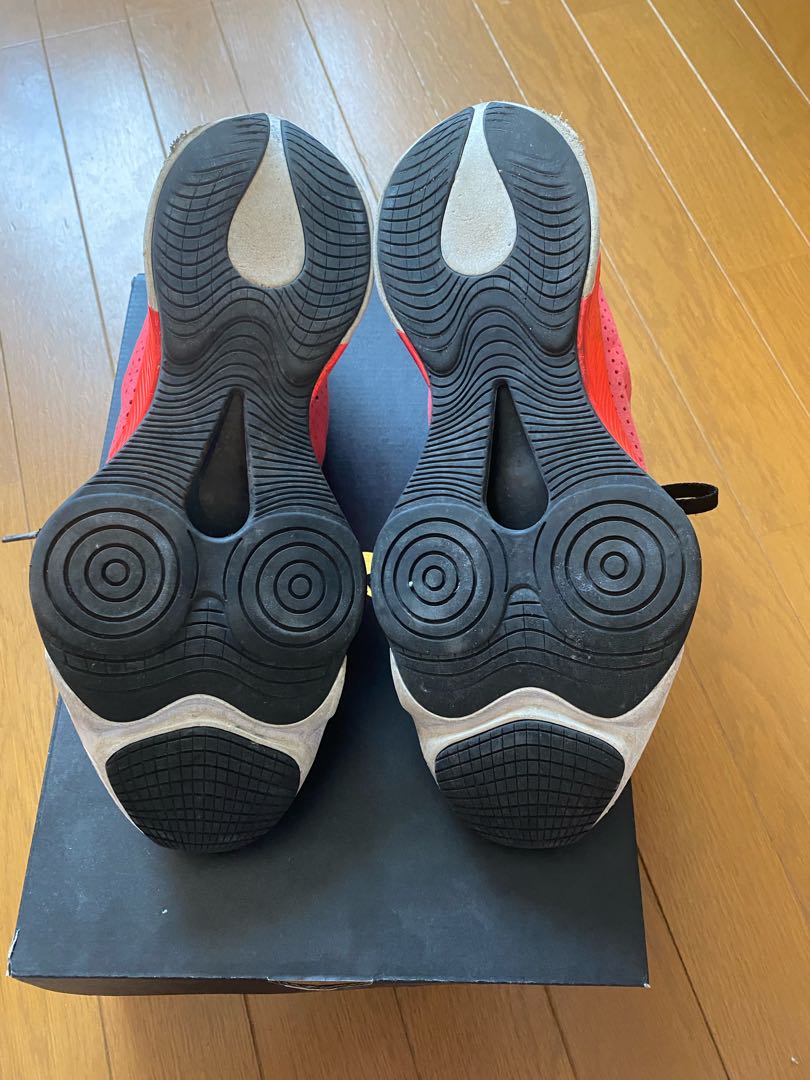 ジョーダン エア ズーム レネゲード NIKE ZOOM 29cm