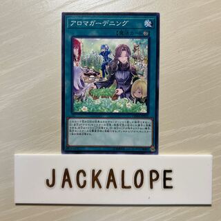 10860 アロマガーデニング ノーマル JP059