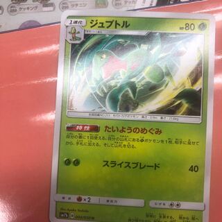 ジュプトル たいようのめぐみ