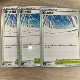 頂への雪道 165/172