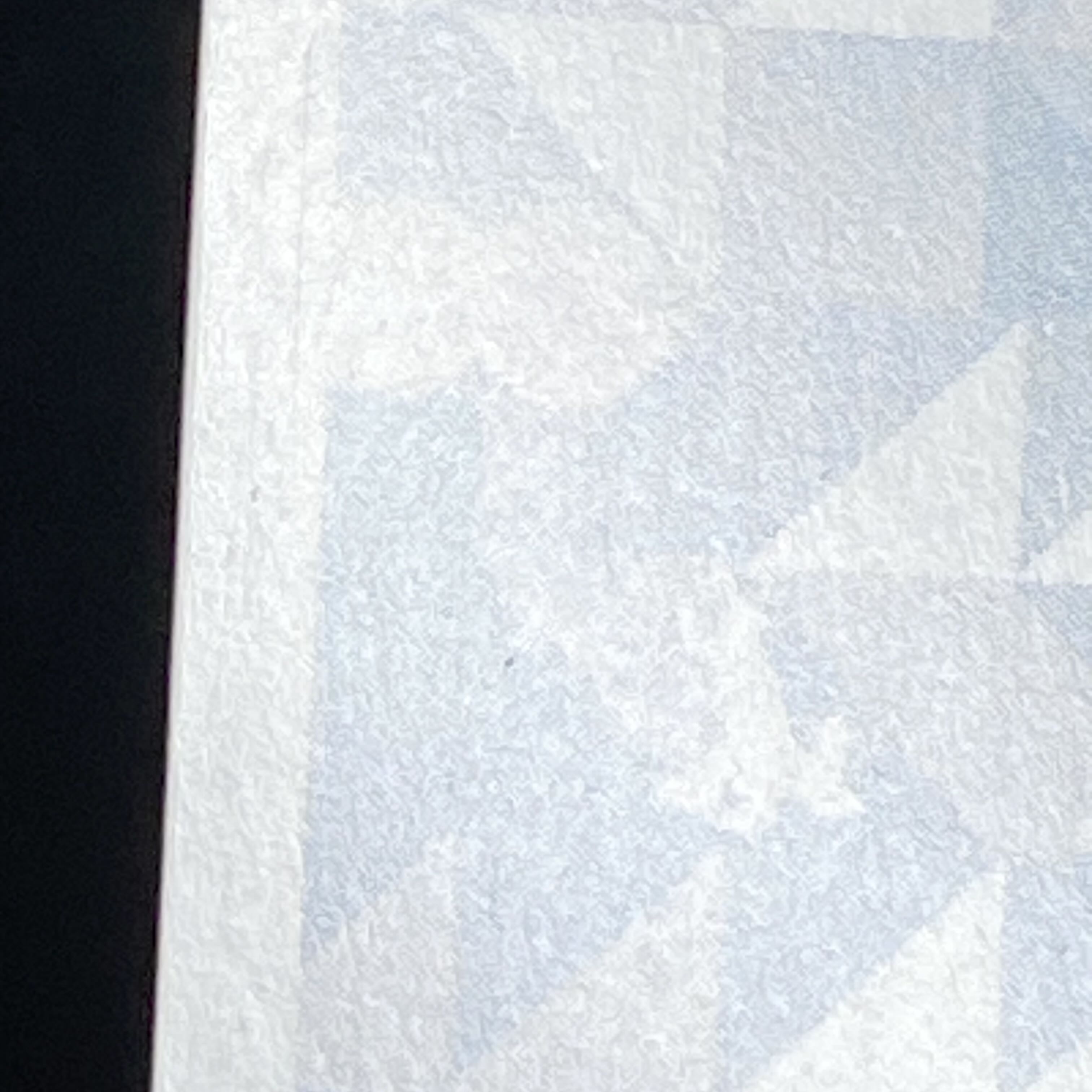 "蒸気船ウィリー" ミッキーマウス Disney100 Dds/S104-100OR