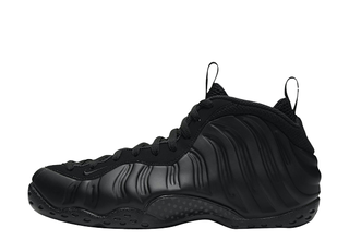 Nike Air Foamposite One "Anthracite/Black" (2020) 314996-001 27cm