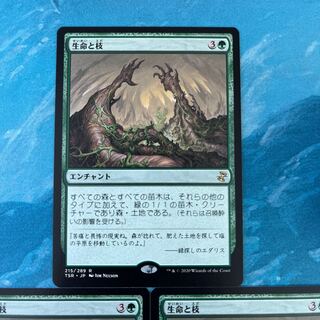 MTG 3枚 生命と枝