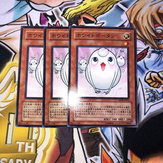 White Potan Normal JP033 1枚