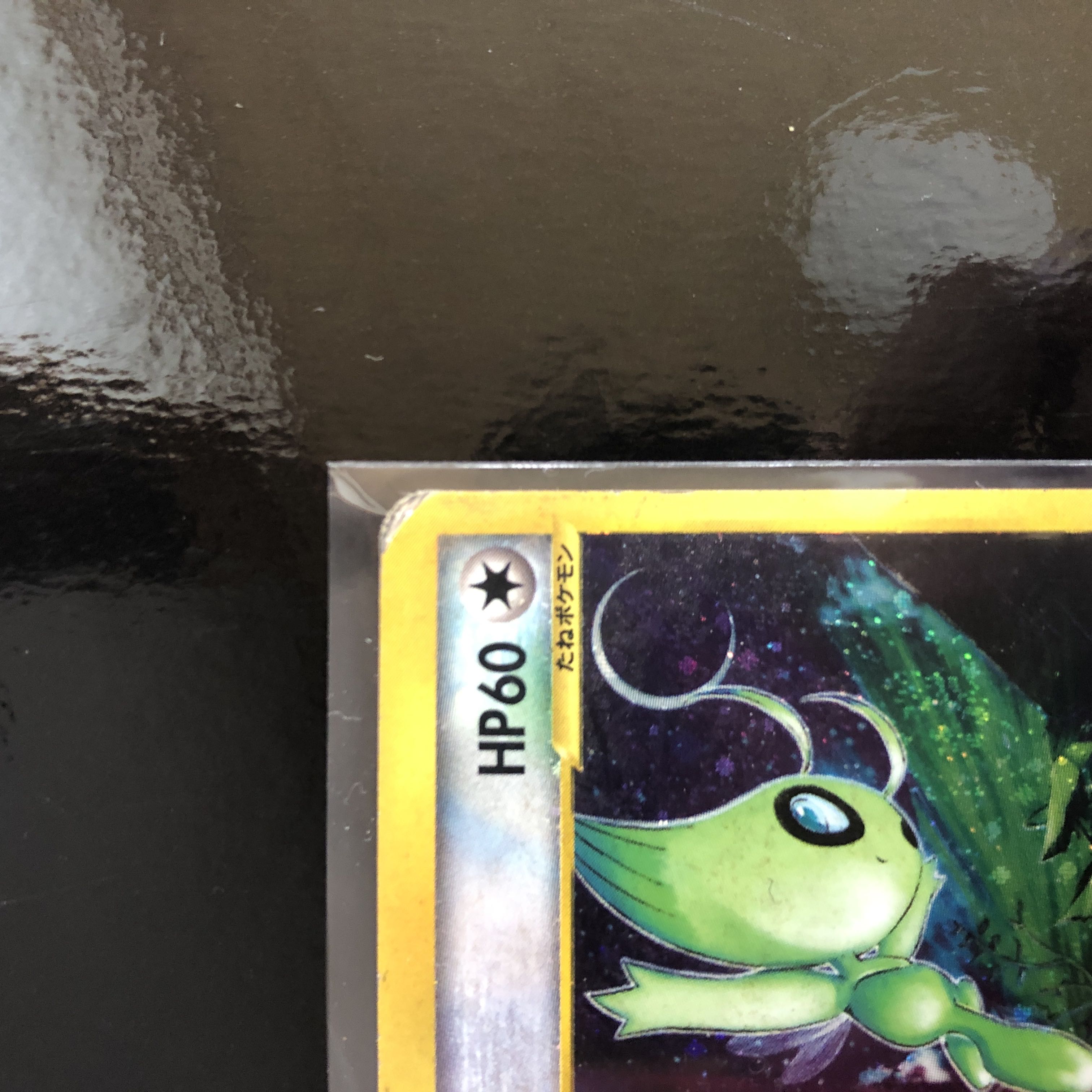 Celebi Squirrel Tar Type