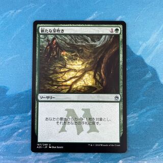 MTG 新たな芽吹き  1枚