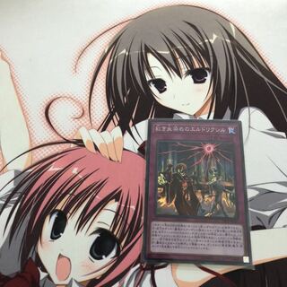 紅き血染めのエルドリクシル