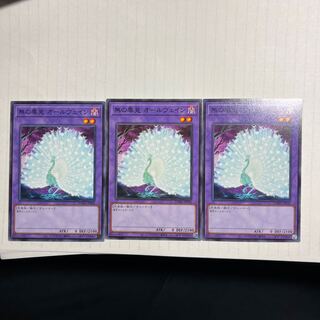 Allvain the Essence of Vanity Normal JP038