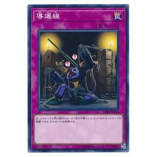 二枚目以降100円引/CIBR78★導爆線