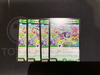 アシスター・サイネリア