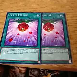 天啓の薔薇の鐘