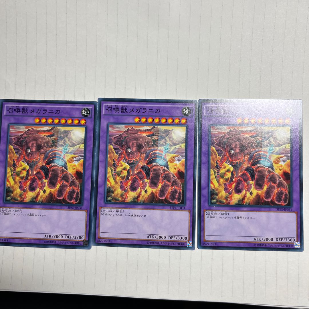 Invoked Magellanica Normal JP031