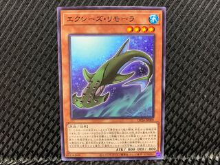 【アゴ之内】遊戯王 エクシーズ・リモーラ ノーマル