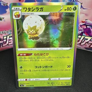 ワタシラガ R 010/069