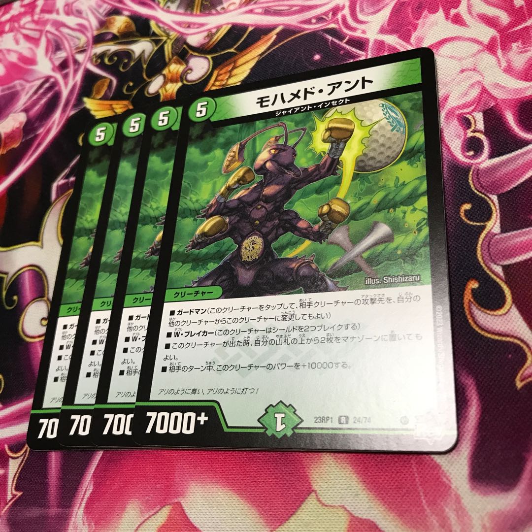 モハメド・アントR 24/74 23RP1