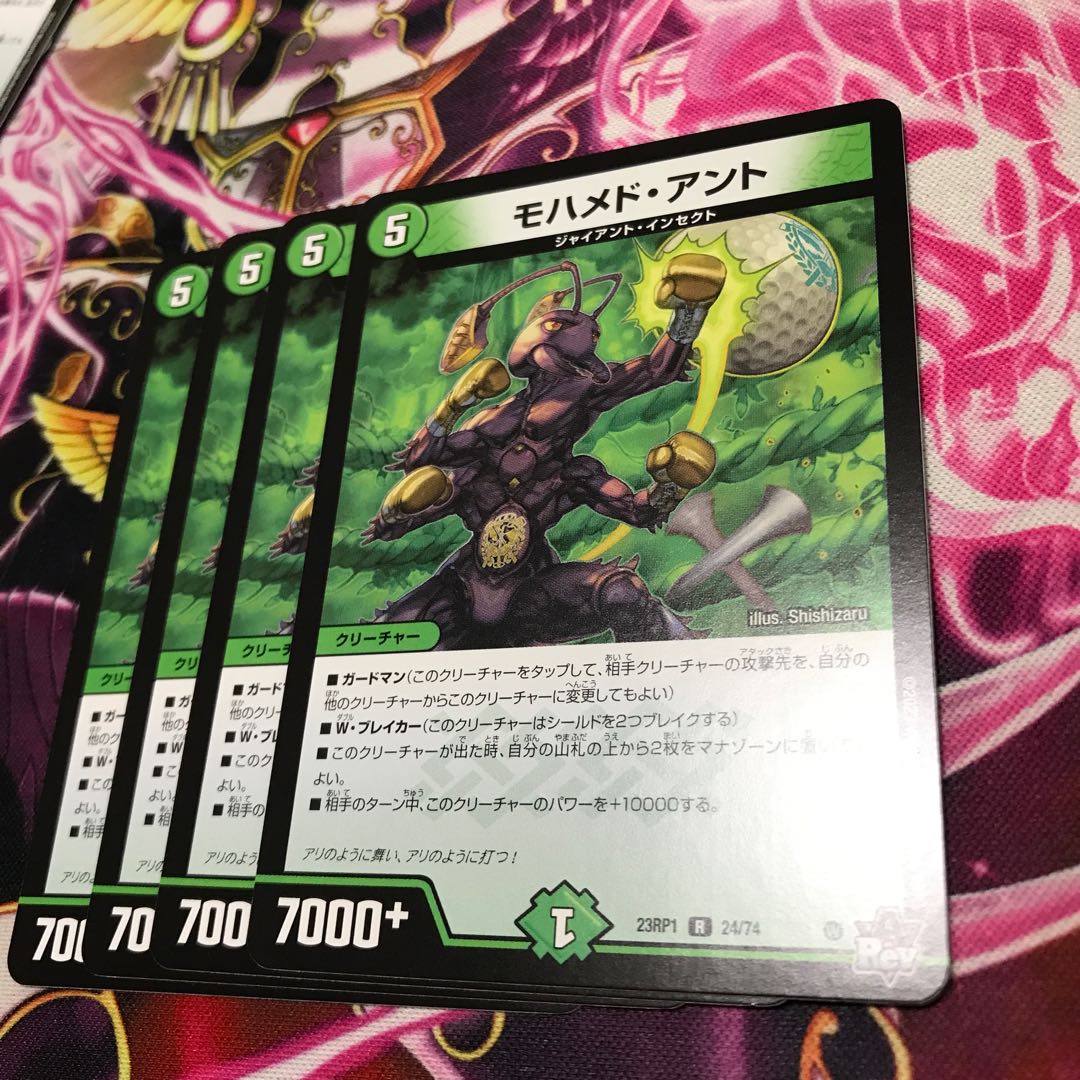 モハメド・アントR 24/7423RP1