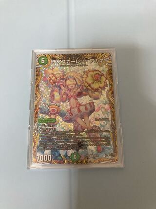 チア•スカーレットSR