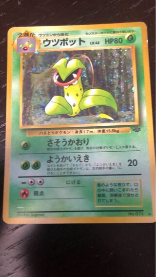 旧裏ポケモンカード　ウツボット