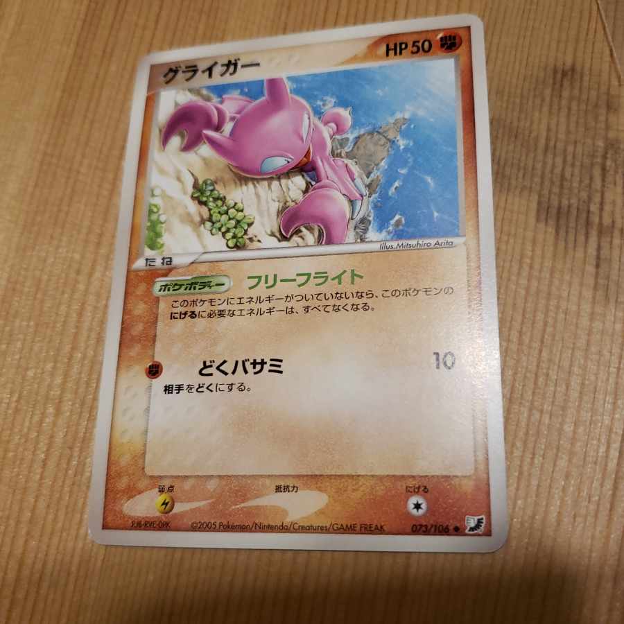 グライガー　フリーフライト　2005年　有田満弘