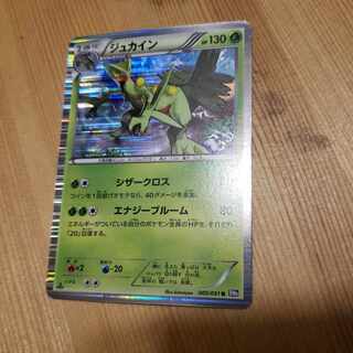 ジュカイン　1ed 2012年　キラ　シザークロス　エナジーブルーム