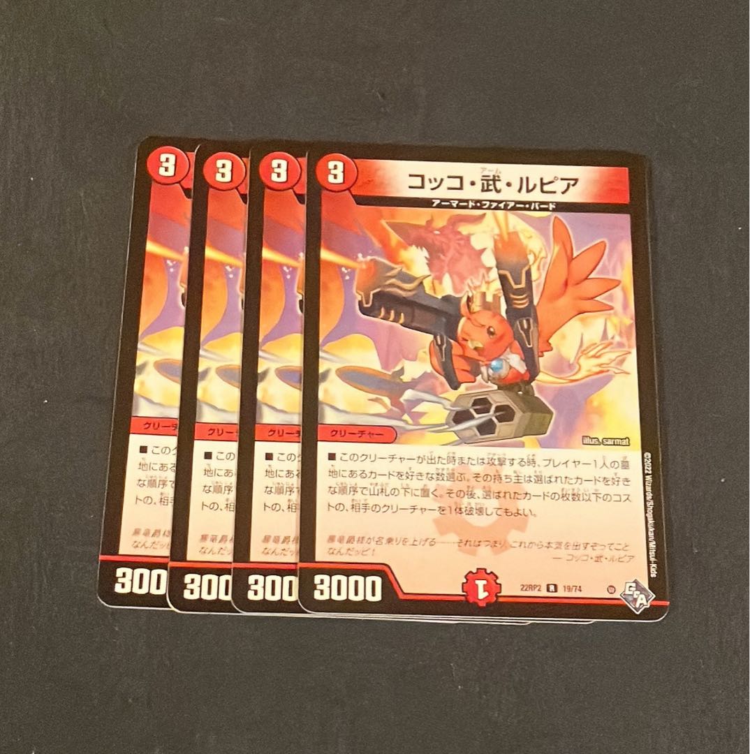 Cocco Bu Lupia R 19/74