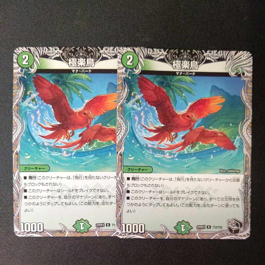 極楽鳥(黒トレジャー) R T12/T20 2枚セット