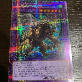 デュエリスト ネクサス」の激安通販 | magi