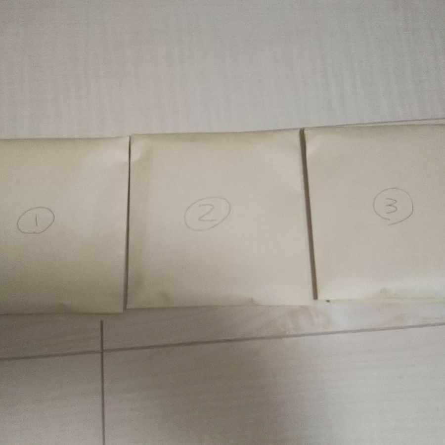 全3口 画像確定