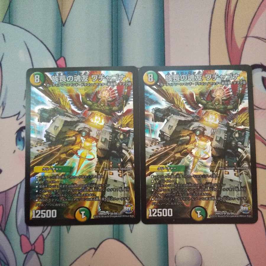 Wachagona, soul friend of the chief