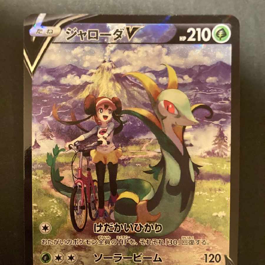 ジャローダV CSR