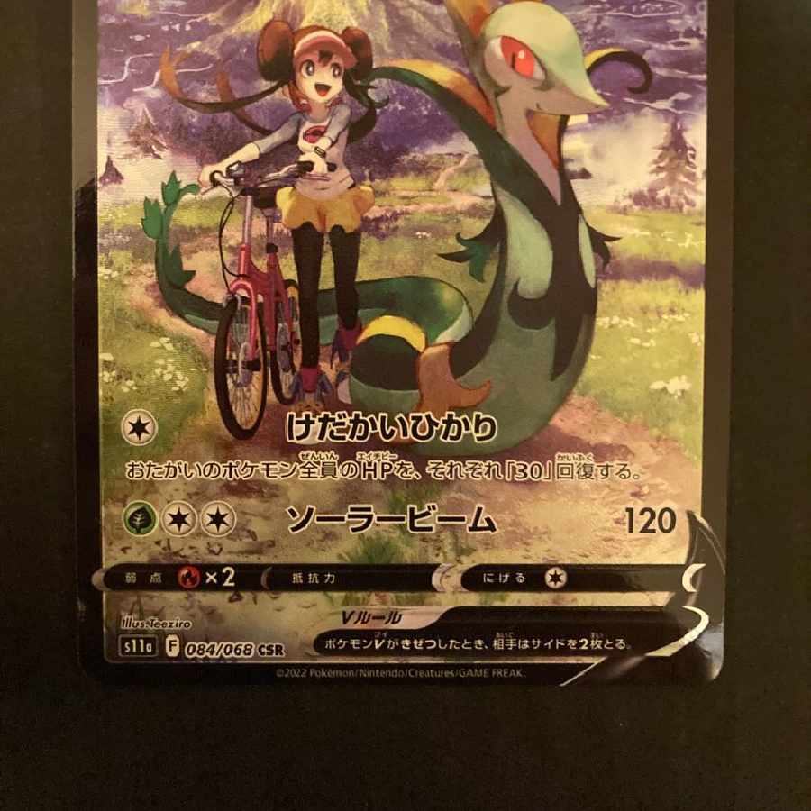 ジャローダV CSR