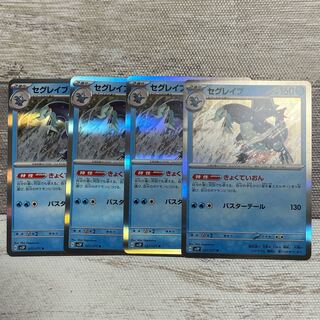 セグレイブ R 027/071