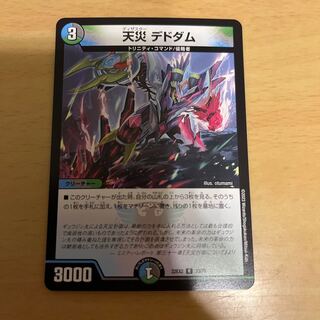 Natural disaster Dedham R 33/75