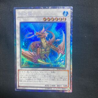 Coral Dragon Collector's Rare JP026