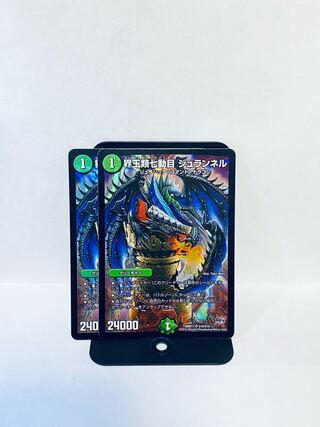 界王類七動目 ジュランネル SR S10/S10