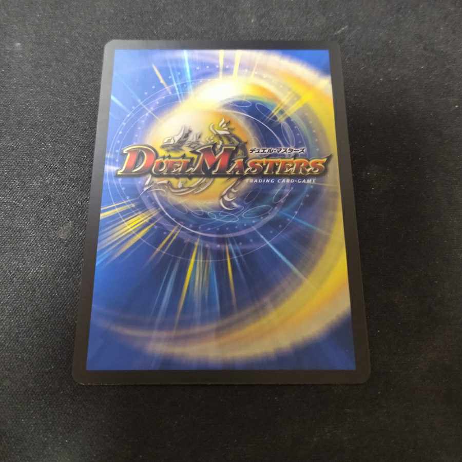 シェケダン・ドメチアーレ SR S2/S8