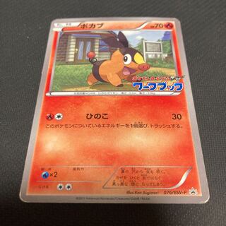 ポカブ 076/BW-P promo キズあり