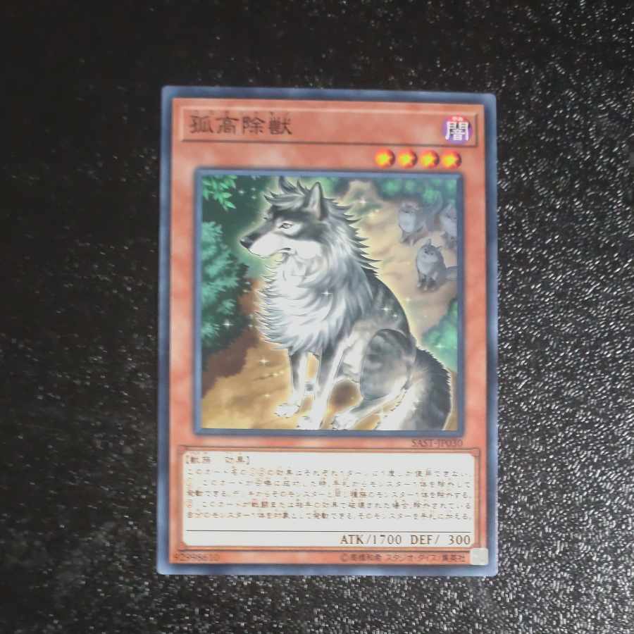 孤高除獣 ノーマルレア JP030 【木林堂】