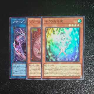 キノの蟲惑魔　スーパーレア　JP002 ＋プティカ＋アティプス　【木林堂】