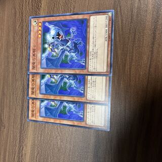 Paladin of the Cursed Dragon