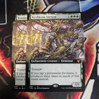 ニクス咲きの古きもの 拡張アート 2枚