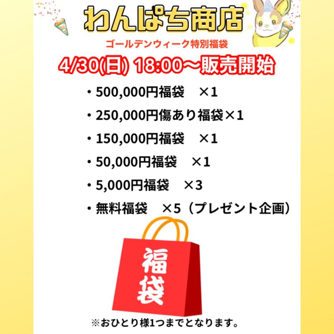 【売り切れ】GW特別ポケカ5000円福袋　(検索ワード:ゴールデンウィーク,ポケモンカード)