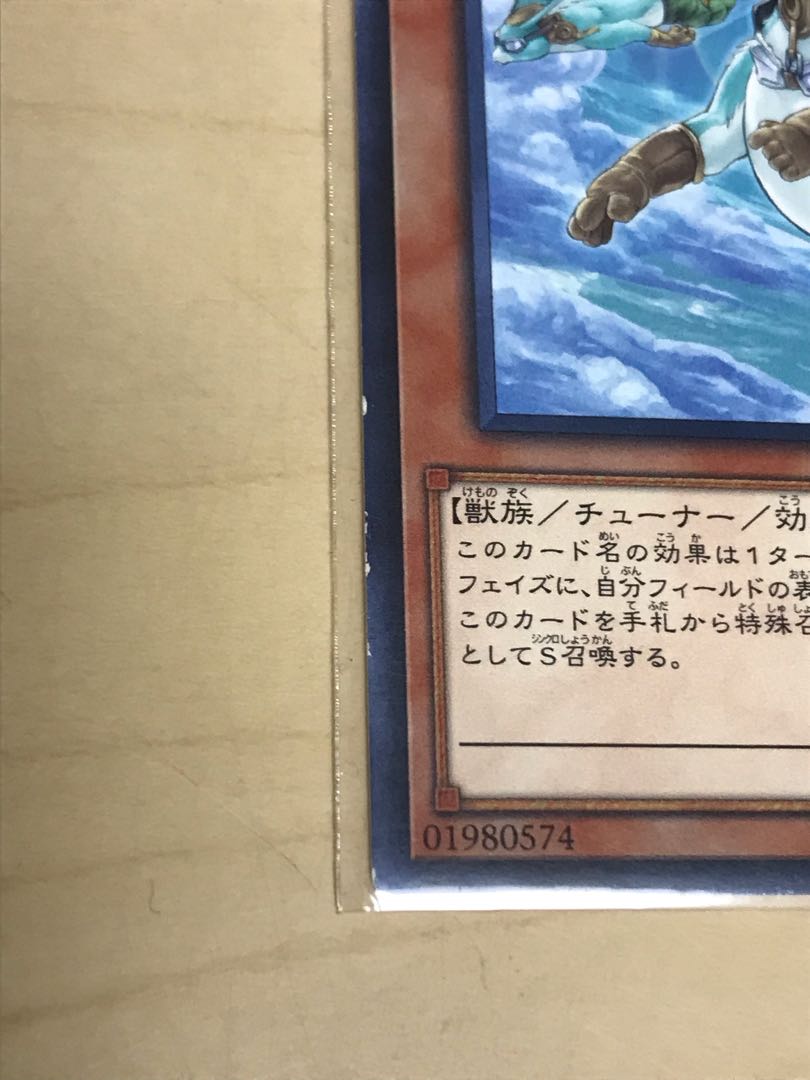 ホップ・イヤー飛行隊 レア JP029