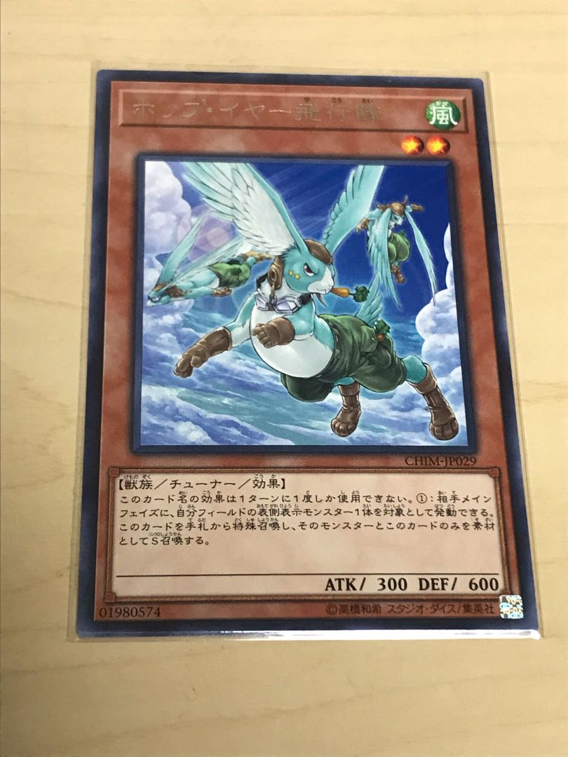 ホップ・イヤー飛行隊 レア JP029