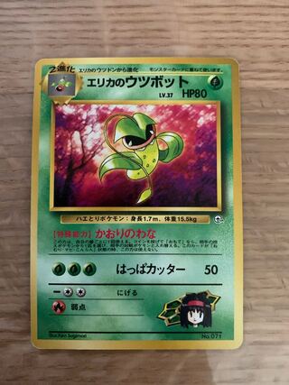 エリカのウツボット 旧裏