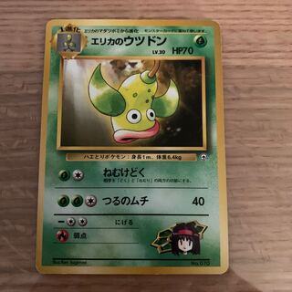 エリカのウツドン